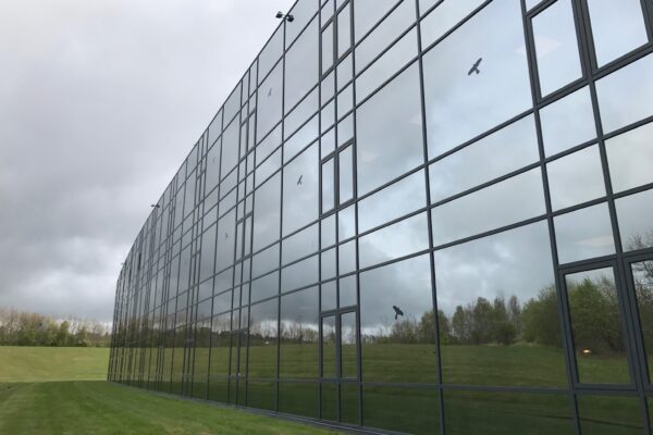 019411330c2df8f3039eddcc9c1c11a268375125a8